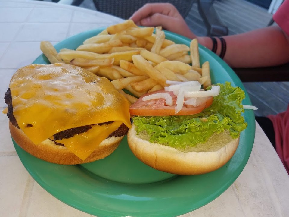 Cheese Burger w Fries